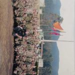 WhatsApp Image 2023-08-11 at 12.36.09